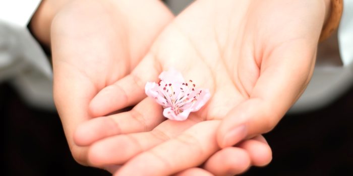 Hands with flower